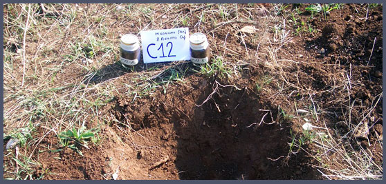 Soil monitoring
