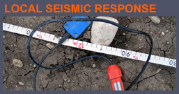 Local Seismic Response